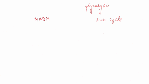 following-glycolysis-and-krebs-cycle-the-carbon-skeleton-of-glucose-has-been-broken-down-to-co-2-most-of-the-energy-from-the-original-glucose-is-in-the-form-of-atp-co2-h2o-high-energy-electr-38714