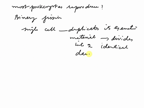 describe-how-most-prokaryotes-reproduce-80344