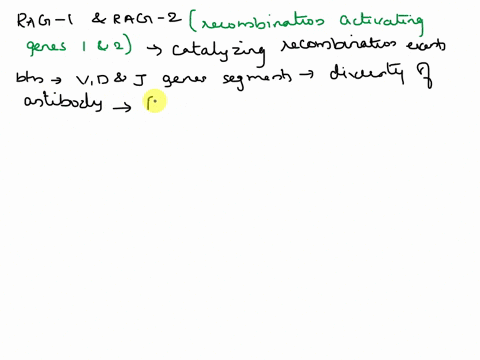 most-of-the-enzymes-involved-in-immunoglobulin-gene-rearrangement-are-ubiquitously-expressed-in-all-cells-of-the-body-however-the-specific-recombination-events-between-v-j-and-d-gene-segment-63324