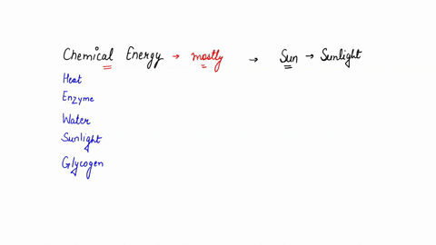 question-66-the-chemical-energy-used-by-most-organisms-for-metabolism-and-growth-ultimately-comes-from_-heat-enzymes-water-sunlight-glycogen-previous-not-savec-06625