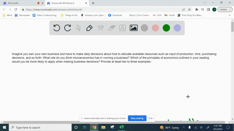 imagine-you-own-your-own-business-and-have-to-make-daily-decisions-about-how-to-allocate-available-resources-such-as-input-of-production-time-purchasing-decisions-and-so-forth-what-role-do-y-24267
