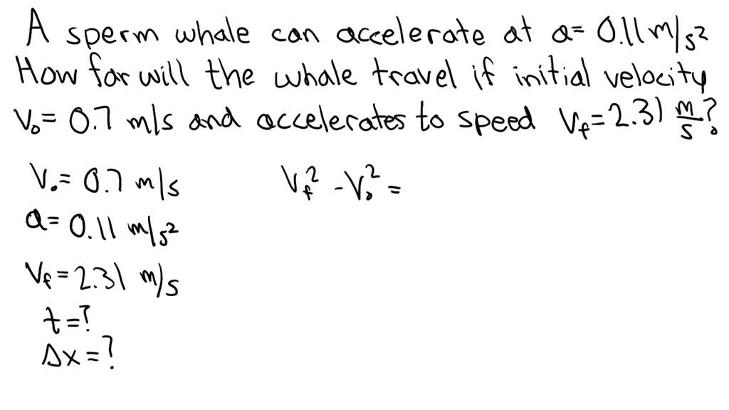 SOLVED: A sperm whale can accelerate at about 0.110 m/s2 when swimming ...