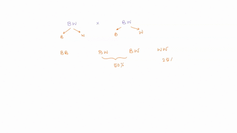 none-of-the-above-at-the-end-of-normal-expiration-person-lung-volume-itet-his-alveolar-pressure-is-0-mm-hg-and-the-intrapleural-prcssure-is-mm-hg-he-inhales-800-ml-of-air-at-the-end-of-inspi-27975