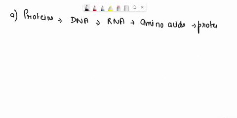 using-the-same-geneprotein-targets-which-multiple-sequence-alignment-would-you-expect-to-be-more-informative-with-respect-to-evolutionary-conservation-dna-rna-or-protein-this-relates-to-alph-47607