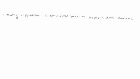 during-inspiration-intrapleural-pleural-pressure_-at-the-same-time-the-atmospheric-pressure-decreases-increases-decreases-therefore-the-intrapulmonary-alveolar-pressure-decreases-decreases-d-62193