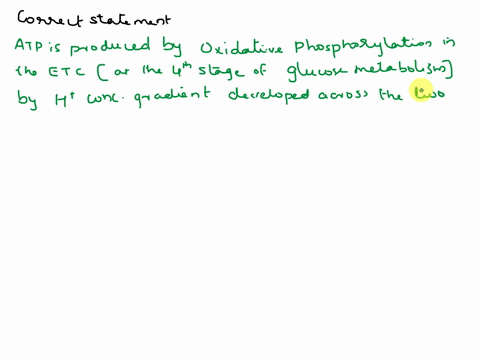 atp-is-produced-by-oxidative-phosphorylation-in-electron-transport-chain-at-the-4th-stage-of-glucose-metabolism-group-of-answer-choices-by-h-concentration-gradient-developed-across-the-two-membranes-o