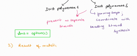 how-are-both-the-leading-and-the-lagging-strand-synthesized-at-the-same-time-one-strand-is-synthesized-5-to-3-and-the-other-is-synthesized-3-to-5-at-least-two-polymerases-are-used-since-they-51438