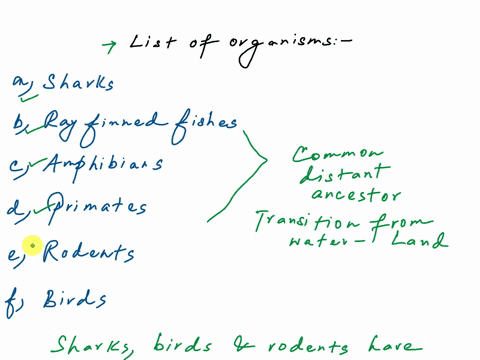 gapm-hcoioeo-ecmtnne-hone-inert-dien-latau-reviet-lalibn-liah-reo-which-organisms-are-most-closely-related-ctocot-2which-organisms-are-least-related-which-organisms-have-four-limbs-epoi-enan-43022