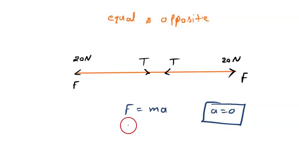 SOLVED A string is stretched by two equal and opposite forces 20 N