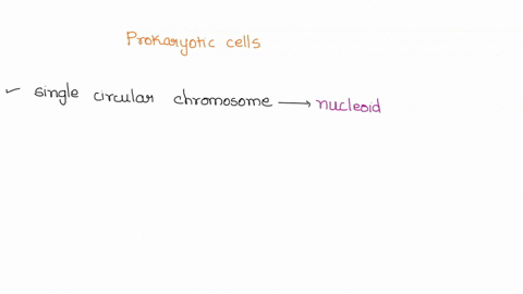 prokaryotic-cells-fan-have-circular-dna-molecules-stored-in-tne-cytopiasm-store-their-dna-in-a-membrane-bound-organelle-called-the-nucleus-gicontain-rlbosomesi-the-sites-of-translation-aand-77536