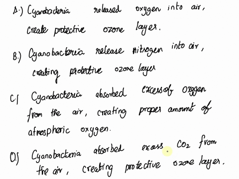 which-of-the-following-describes-the-importance-of-cyanobacteria-to-early-earth-atmosphere-formation-a-cyanobacteria-released-oxygen-into-the-air-creating-a-protective-ozone-layer-b-cyanobac-68658