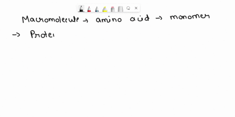 which-macromolecule-has-an-amino-acid-as-its-monomer-55211