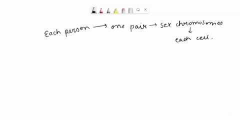 _-has-two-x-chromosomes-while-_-have-one-chromosome-and-one-y-chromosome-36359