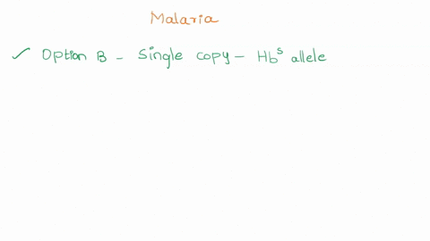 which-of-the-following-hemoglobin-genotypes-would-be-most-beneficial-to-a-person-living-in-a-region-where-malaria-is-prevalent-no-copies-of-the-hbs-allele-single-copy-of-the-hbs-allele-two-c-68611