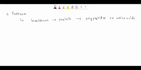 what-is-a-protease-select-one-an-enzyme-that-breaks-down-a-protein-into-individual-amino-acids-protein-consisting-of-a-chain-of-amino-acids-a-component-of-foods-such-as-fruit-juices-all-of-t-47693