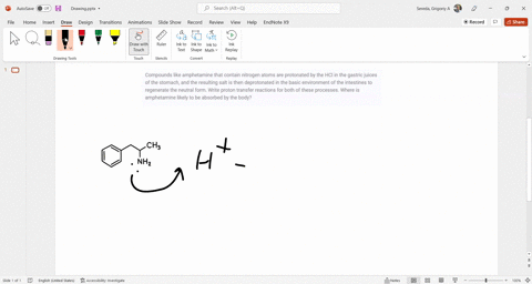 compounds-like-amphetamine-that-contain-nitrogen-atoms-are-protonated-by-the-hcl-in-the-gastric-juic-07071