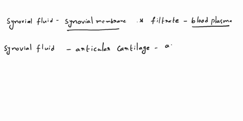 increases-synovial-membrane-large-articular-cartilage-small-periosteum-chondrocytes-blood-plasma-shock-absorber-decreases-synovial-fluid-is-a-viscousoily-substance-that-is-composed-of-secret-54929