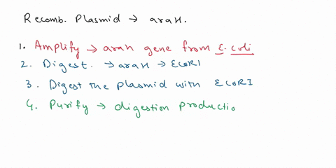 use-the-following-reagents-to-create-recombinant-plasmid-with-arah-in-the-ecorl-restriction-enzyme-site-you-have-the-maps-below-small-sample-of-pure-plasmid-dna-and-the-gene-for-the-arabinos-95026