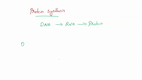 question-28-which-of-the-following-is-the-correct-sequence-of-events-in-protein-synthesis-dna-mrna-ribosome-rrna-protein-dna-mrna-trna-ribosome-protein-mrna-trna-ribosome-protein-dna-trna-ri-99112