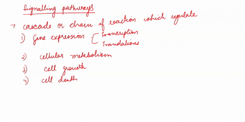 explain-the-importance-of-the-termination-mechanisms-for-signaling-pathways-05093