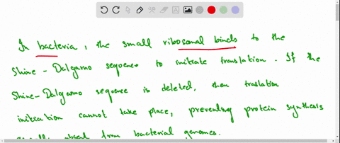 how-would-the-deletion-of-the-shine-dalgarno-sequence-affect-a-bacterial-mrna-06214