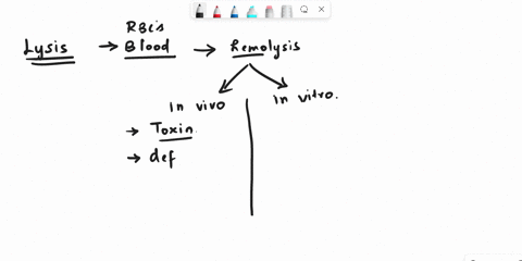 what-causes-lysis-in-rbcs-15791