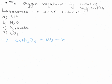the-oxygen-required-by-cellular-respiration-is-reduced-and-becomes-part-of-which-molecule-a-atp-b-ma-95536
