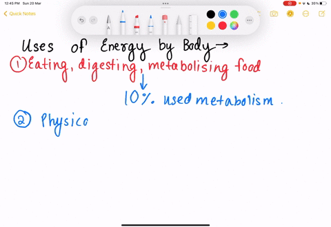 discuss-where-the-body-uses-its-energy-what-sources-of-energy-deliver-energy-quickly-to-where-it-is-needed-summarize-your-ideas-below-19525