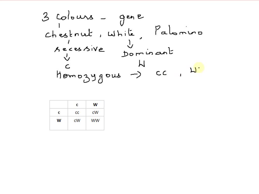 SOLVED One gene in horses results in three possible colors chestnut