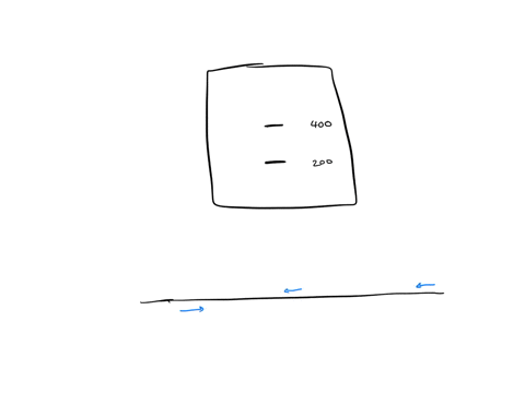 in-a-hypothetical-experiment-you-analyzed-the-result-of-the-pcr-reaction-from-using-primers-la-and-ib-on-gel-and-observed-two-different-pcr-amplification-products-one-at-the-expected-size-an-53898