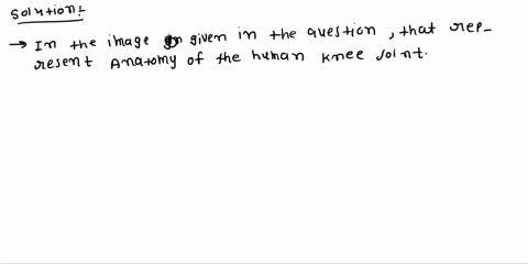 the-image-below-is-of-the-anterior-knee-what-structure-is-highlighted-multiple-choice-fibularcollateral-ligament-medial-meniscus-lateral-meniscus-patellartendon-22948