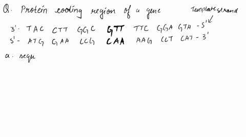 question-11-10-poing-sl-ena-consider-the-following-segment-of-dna-from-protein-coding-region-of-a-gene-tac-ctt-ggc-gtt-ttc-gga-gta-atg-gaa-ccg-caa-aag-cct-cat-template-stand-write-the-sequen-82162