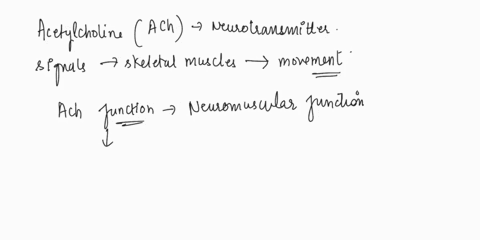 which-event-will-occur-when-ach-binds-to-a-receptor-located-on-the-junctional-fold-of-a-skeletal-muscle-a-voltage-gated-calcium-channel-will-open-a-chemically-ligand-gated-cation-channel-wil-51803