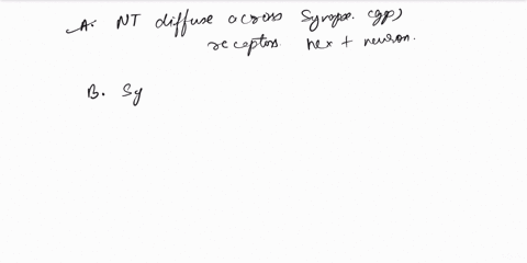 which-of-the-following-statements-is-true-in-case-of-synapse-a-neurotransmitters-diffuse-across-the-synapse-the-gap-and-bind-with-receptor-molecules-on-the-membrane-of-the-next-neuron-b-syna-61512