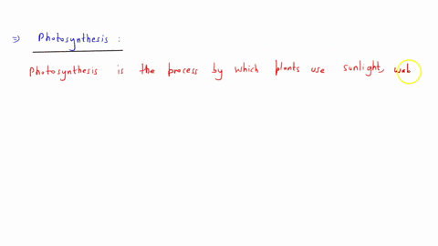 what-is-photosynthesis-2