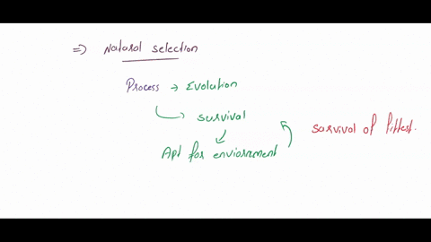 describe-natural-selection-including-the-effects-on-subsequent-generations-of-the-population-natural-selection-leads-to-adoptotlon-define-adaptation-and-explain-it-using-whales-as-an-example-25744