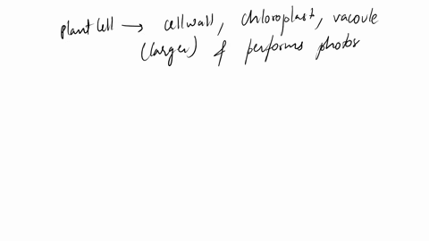 plant-cell-and-animal-cell-and-function-30809