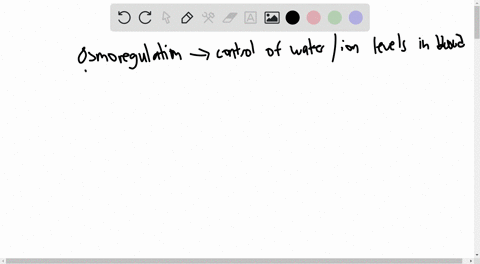 which-of-the-following-statements-about-osmoregulation-are-not-true-select-one-a-osmoregulators-can-control-their-internal-osmolarity-independent-of-external-environment-and-thus-maintain-a-52155