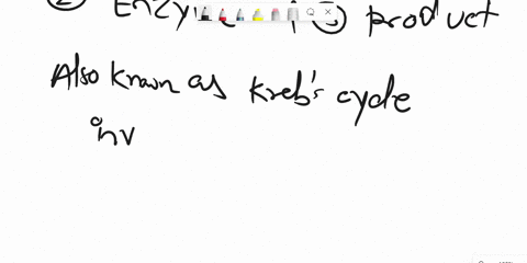 name-the-reactants-products-enzyme-and-reactions-under-each-step-of-the-citric-acid-cycle-48314