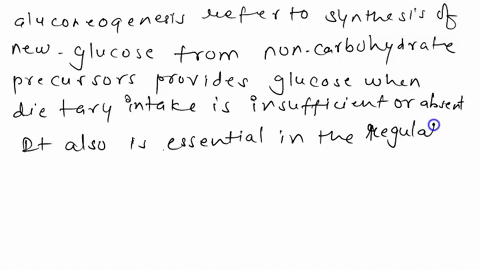 what-is-gluconeogenesis-why-is-it-important-69627