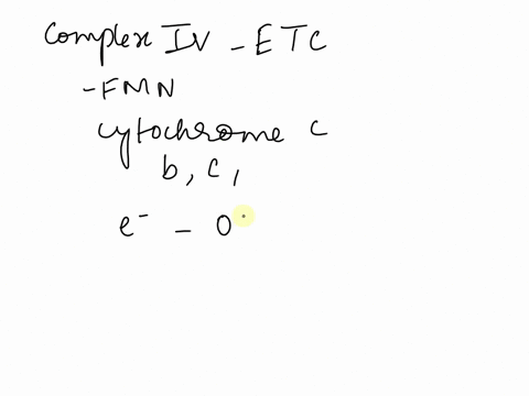 7-is-it-the-statements-true-or-false-a-with-regard-to-complex-iv-of-etc-it-has-fmn-center-it-is-also-known-as-cytochrome-c-it-contains-heme-prosthetic-group-it-is-a-complex-of-cytochrome-b-a-43445