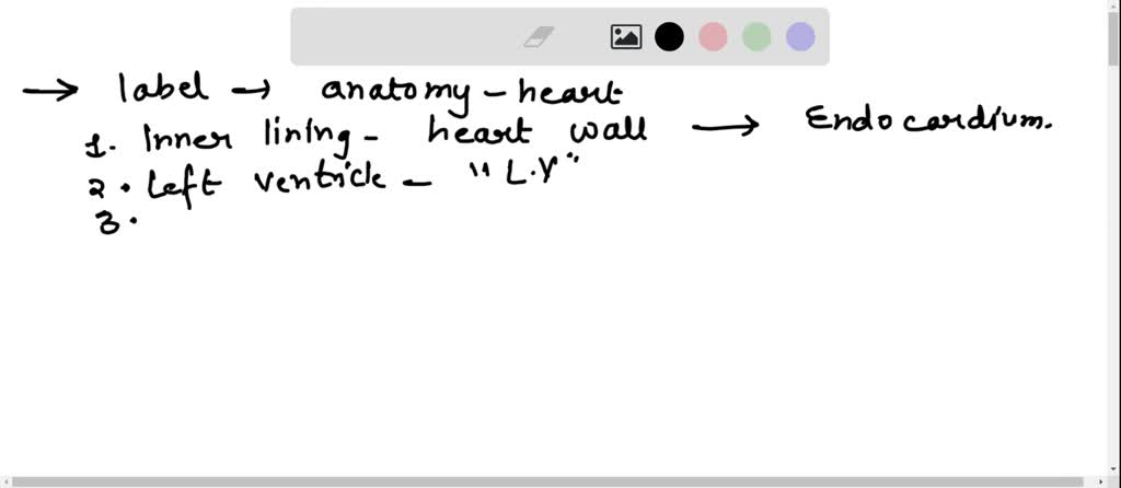 SOLVED: Label the internal anatomy of the heart. Labels (i) Drop Zones ...