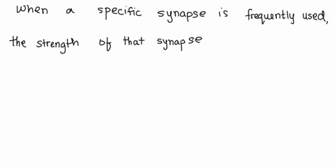 according-to-neural-plasticity-what-could-happen-when-a-specific-synapse-is-frequently-used-the-post-synaptic-neuron-will-grow-in-size-the-number-of-synapses-between-he-two-neurons-will-incr-37096