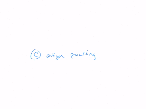 question-8-the-taking-in-of-antigen-and-digesting-it-for-later-presentation-is-called-a-antigen-presentation-b-endocytosis-c-antigen-processing-d-exocytosis