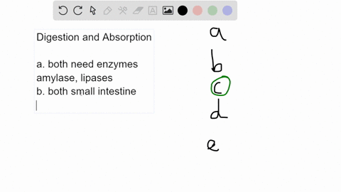 how-do-the-digestion-and-absorption-of-fat-differ-from-the-digestion-and-absorption-of-carbohydrates-group-of-answer-choices-processing-of-fats-does-not-require-any-digestive-secretions-proc-39748