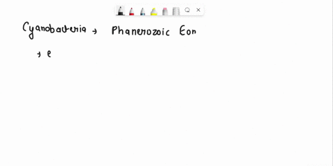 the-evolution-of-oxygen-generating-cyanobacteria-probably-0-scalcd-their-own-cxtinction-by-producing-oxyrcn-evolvcd-during-thc-phancrozoic-lon-occurred-baforc-thc-cmergencc-of-anacrobic-bact-31416