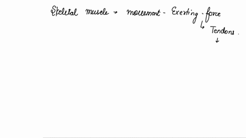 which-statement-is-correct-about-how-muscles-move-bones-a-tendons-connect-extensors-and-flexors-to-each-other-b-extensors-cause-a-bone-to-move-initially-c-the-insertion-is-where-a-muscle-att-74375