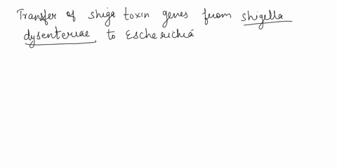 when-you-analyze-the-dna-sequence-of-the-specimen-you-determine-the-specimen-is-escherichia-coli_0152h7-however-further-analysis-reveals-the-gene-for-the-shiga-toxin-from-different-type-of-b-44378