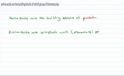 amino-acids-are-the-building-blocks-of-which-group-of-biomolecules-81066