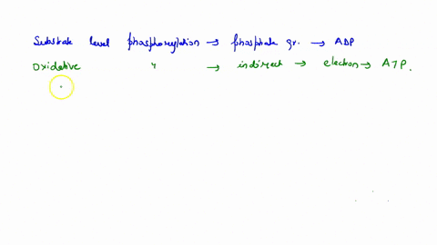 describe-the-difference-between-substrate-level-phosphorylation-and-oxidative-phosphorylation-then-list-the-stages-of-cellular-respiration-that-undergo-each-type-of-phosphorylation-86595